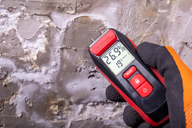 Best HVAC Mold Remediation in Ashville, OH