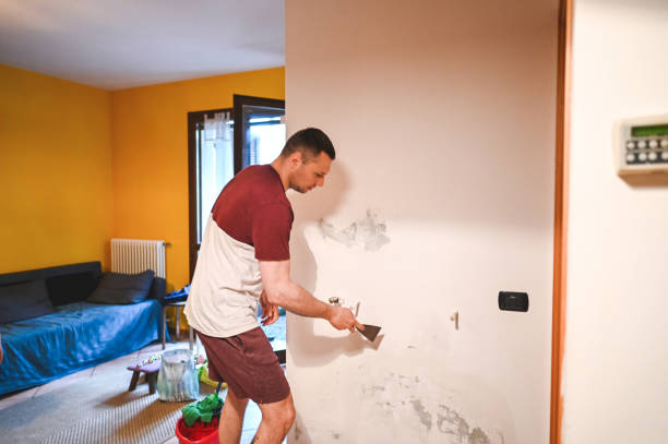 Best Mold Testing and Inspection Services in Ashville, OH